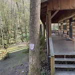 Little Mountain Hideaway Cabin