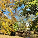 Skinny Dippin\'-River Front- Free Tickets-Dog Friendly