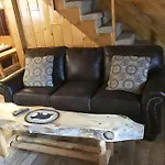 Dollywood-Brand New Dancing Bear 4