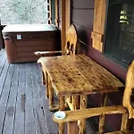 Dollywood-Brand New Dancing Bear 4