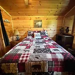 Cozy Cabin Walking Distance To Parkway!