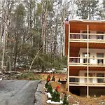 The Grand Tennessean Cabin- Four Bedroom Luxury Cabin In The Mountains