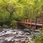 Alone At Last- Hot Tub,1089 Of Free Tickets For Each Paid Day, Dollywood And More!
