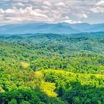 Cozy Bear Hill, Resort Pool, 1089 Of Free Attraction Tickets For Each Paid Day, Dollywood And More!