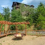 Bearadise Cove