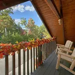Boulder Bear Lodge #355