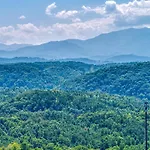 Bear-E-Nice - In Pigeon Forge, Resort Pool, Free Attraction Tickets