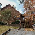 Beauty And The Bear By Colonial Properties