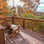 Beauty And The Bear By Colonial Properties