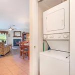 Wp553 Absolute Delight