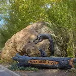 Black Bear Ridge Resort: Awesome Views