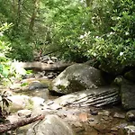 Hidden Hollow