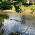 Mill Stream Cottage