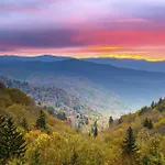 Simply Blessed Mountain View 1605