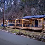 Bear Paradise Cabin