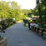 Enchanted Forest