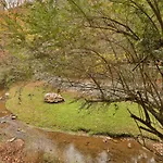 Creekside Tranquility #365 - One Bedroom Cabin