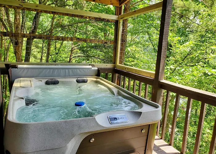 Hillbilly Hilton-Pet Friendly-Sleeps 4-Free Tickets-Mountain View