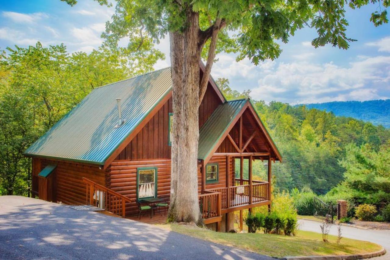 Bear Climbing Getaway Holiday home *