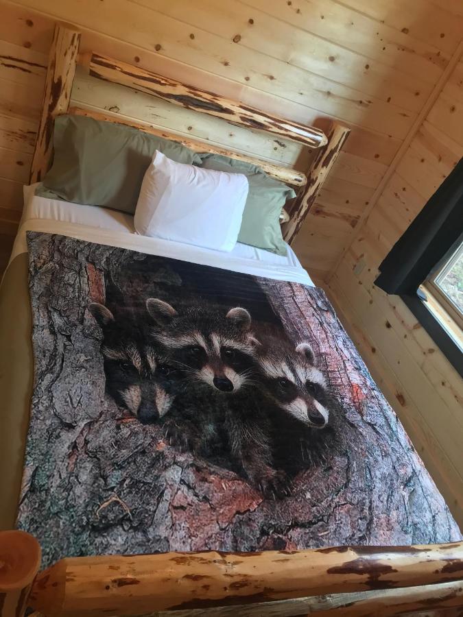 Smoky Best Cabin Chalet Pigeon Forge