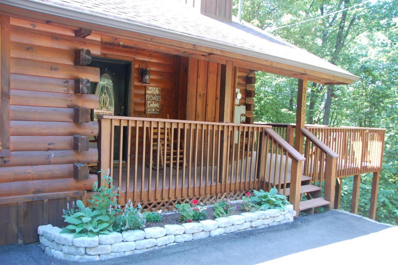 Chalet His Promises *