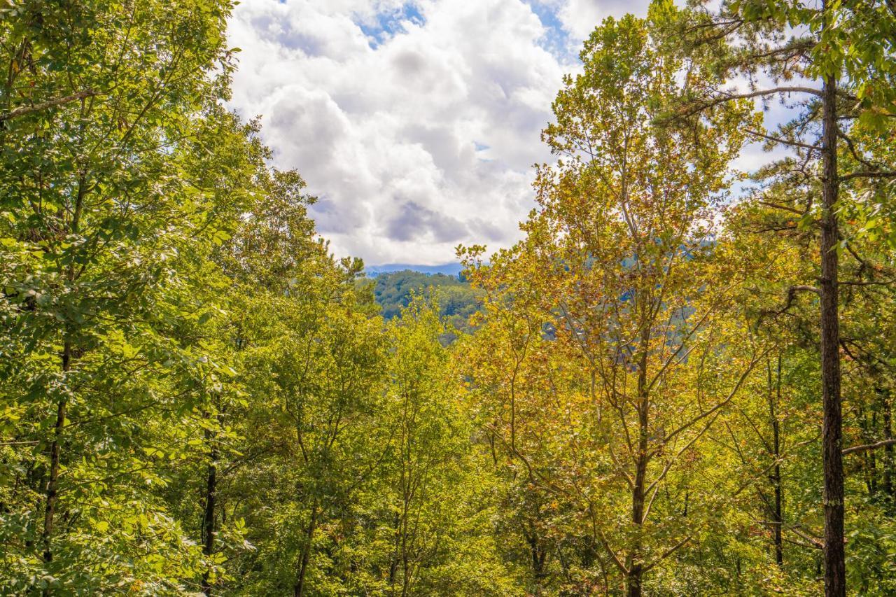 Escape, Hot Tub, Game Room, Wifi, 1089 Free Tickets Each Paid Day, Dollywood And Chalet Pigeon Forge
