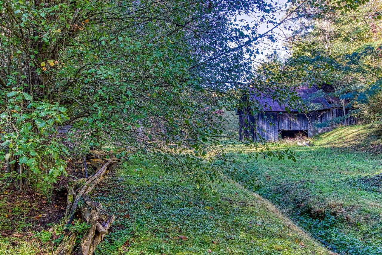 Cozy Creek Holiday home Pigeon Forge