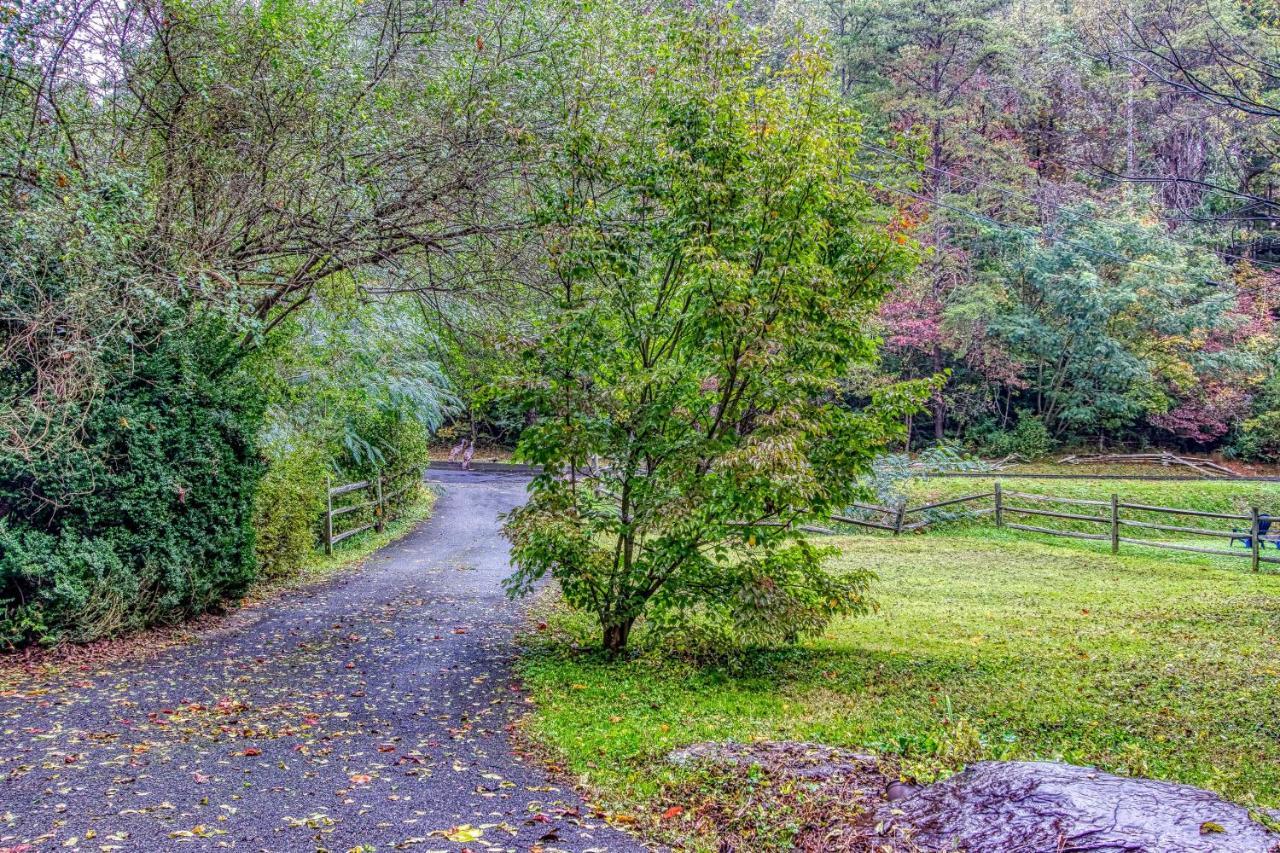Cozy Creek * Pigeon Forge