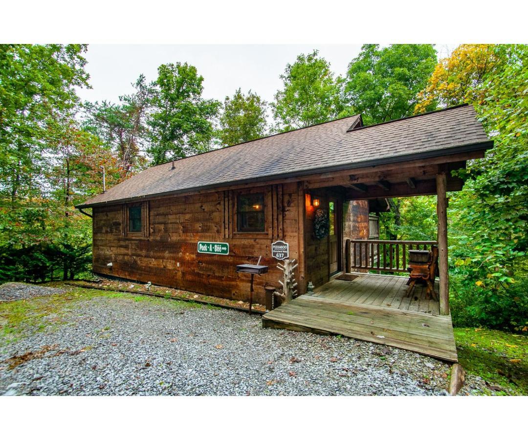Peekaboo With Hot Tub, Pool Table, And Jacuzzi Holiday home Pigeon Forge