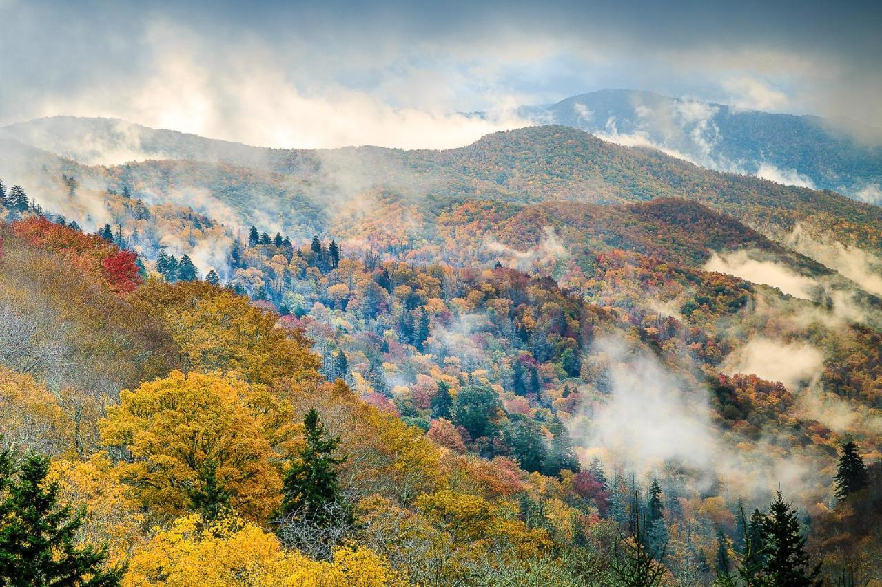 Deer Pass Pigeon Forge