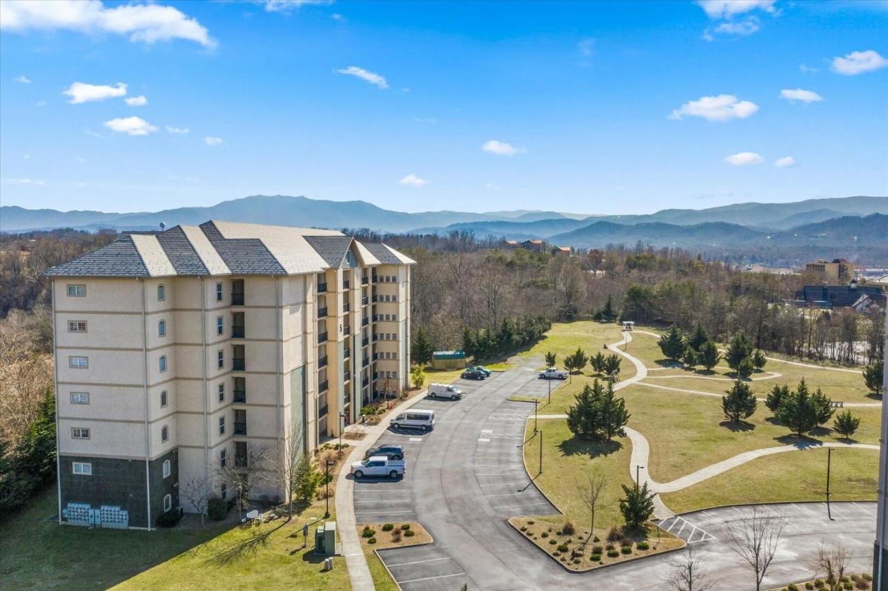 A Bear's Hibernation Apartment Pigeon Forge