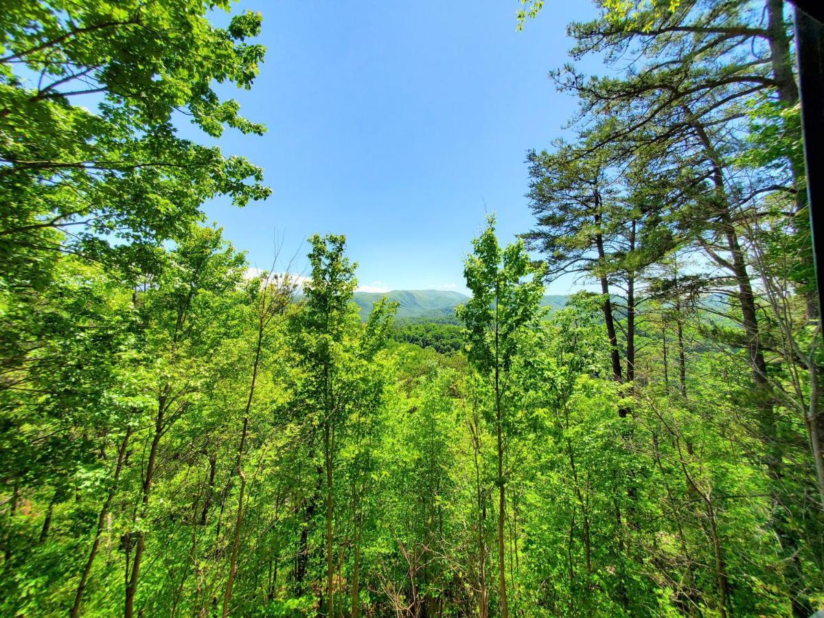Mountain Ridge Chalet *