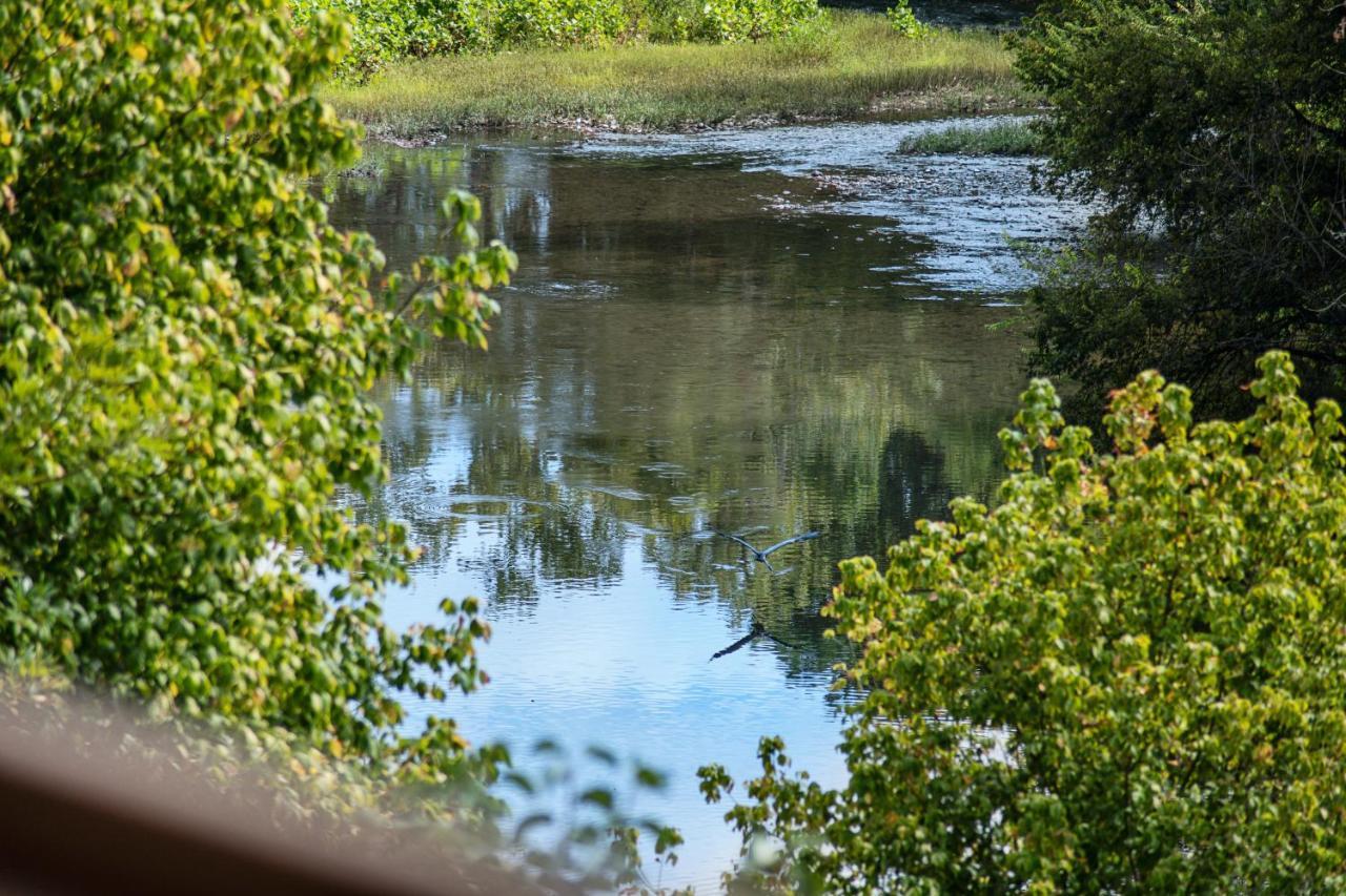 Bandit's Riverfront Retreat Holiday home