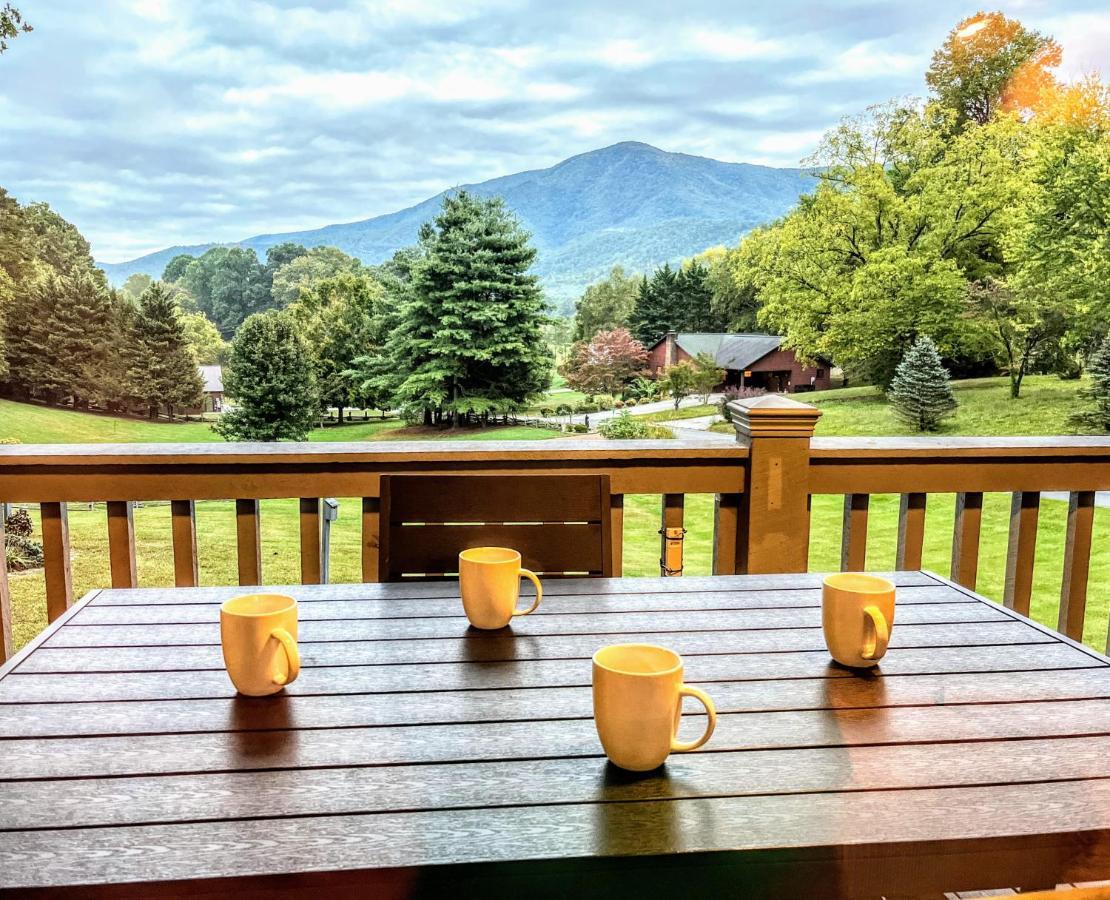 Ole Smoky - Game Room, Hot Tub, Mtn Views! Holiday home *