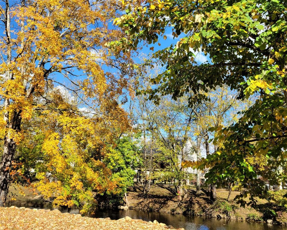Skinny Dippin'-river Front- Free Tickets-dog Friendly Pigeon Forge