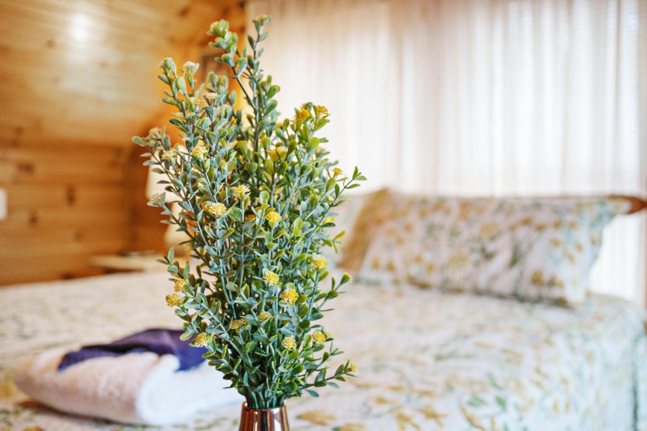 Holiday home The Honey Pot, Hot Tub, Pool, 1089 Free Tickets Each Paid Day, Dollywood And
