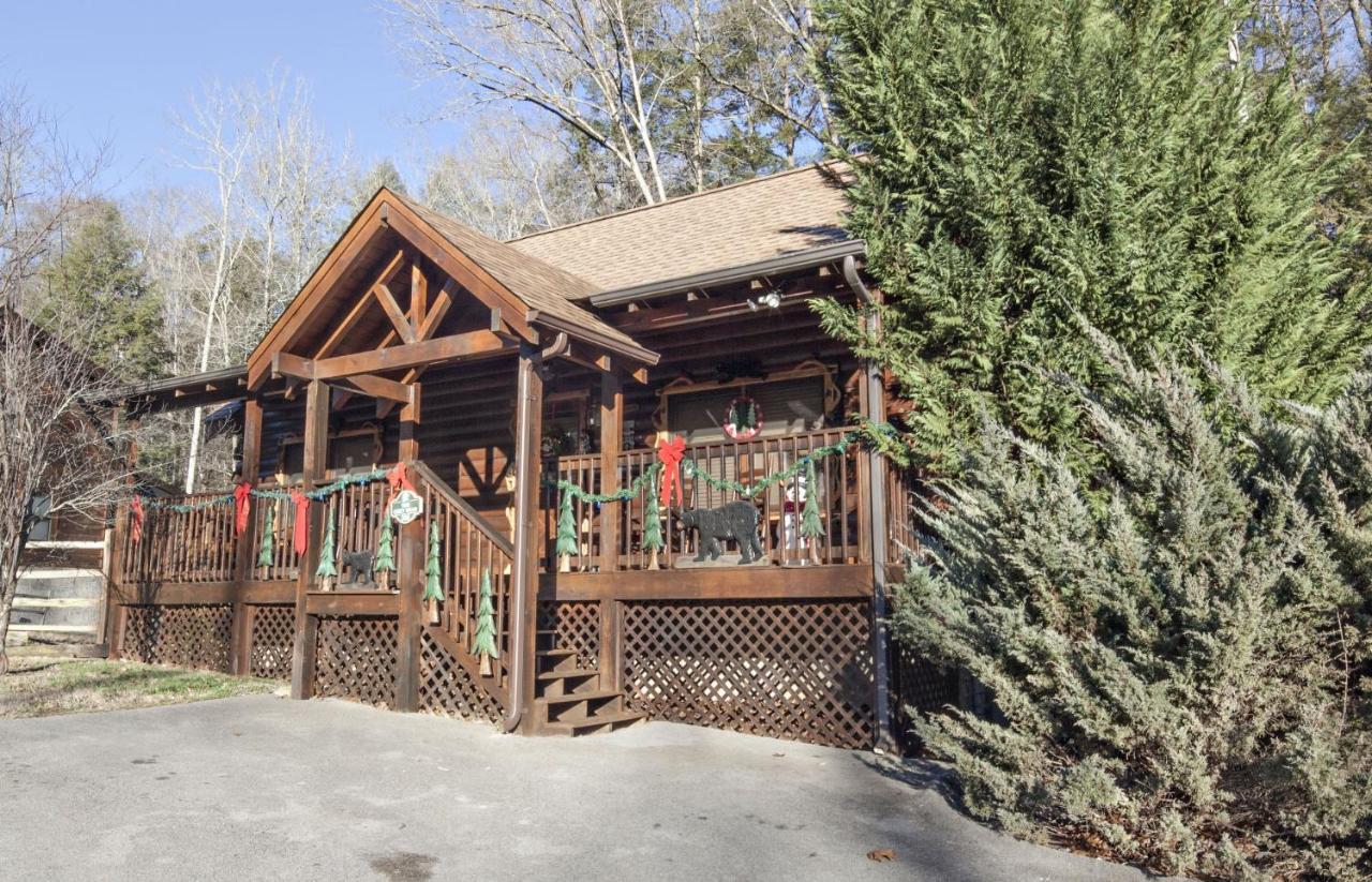 Er308- The Cozy Bear- Great Location- Close To Town