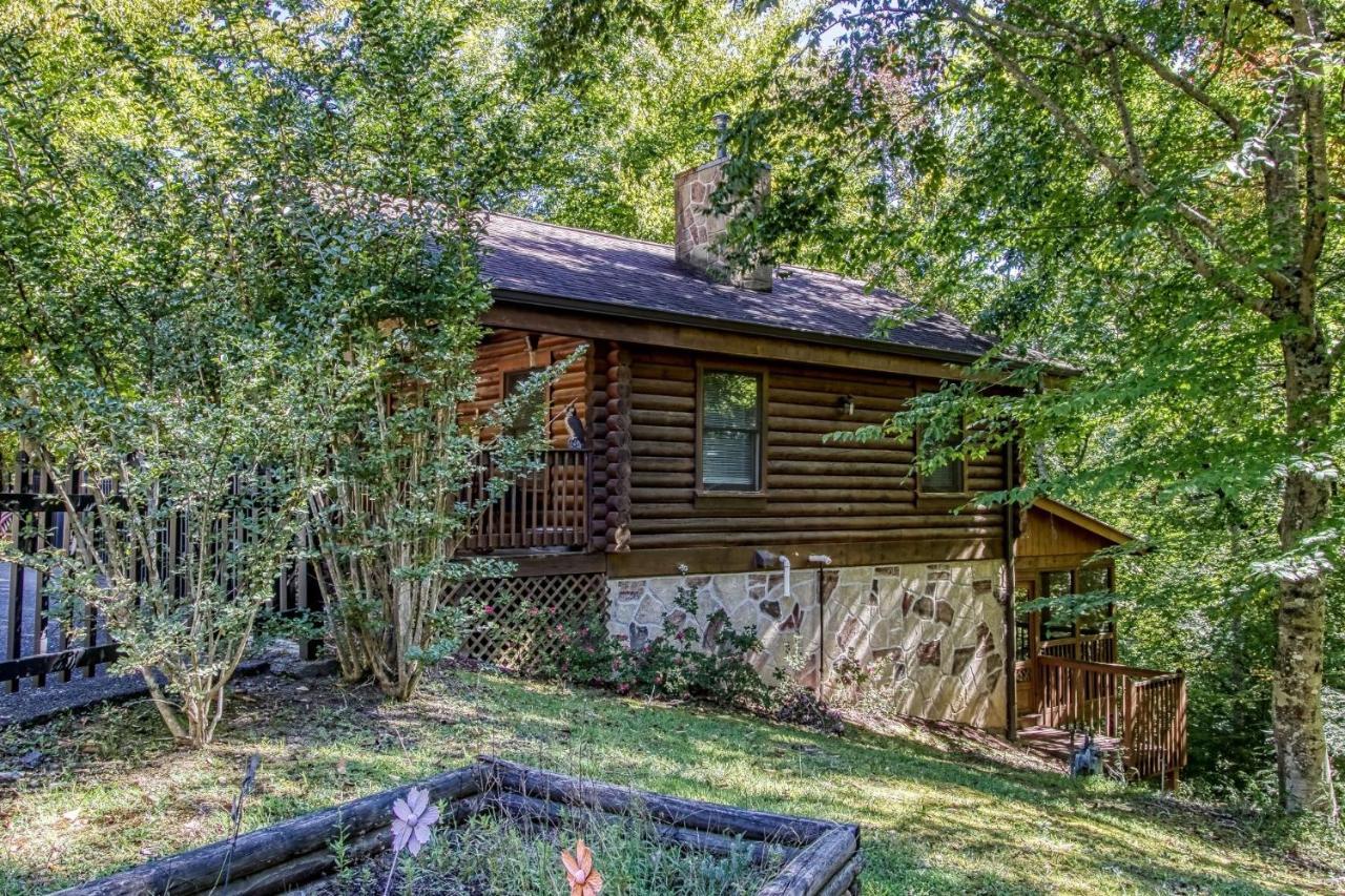 Er44 - Rising Eagle - Great Location! Close To Town! * Pigeon Forge