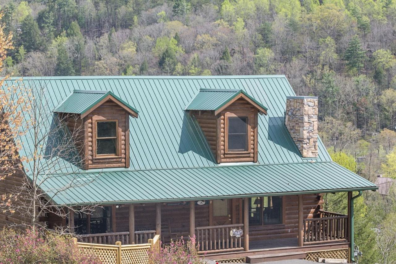 Ern807 - Black Bearry Ridge - Great Location! Close To The Action! Holiday home *