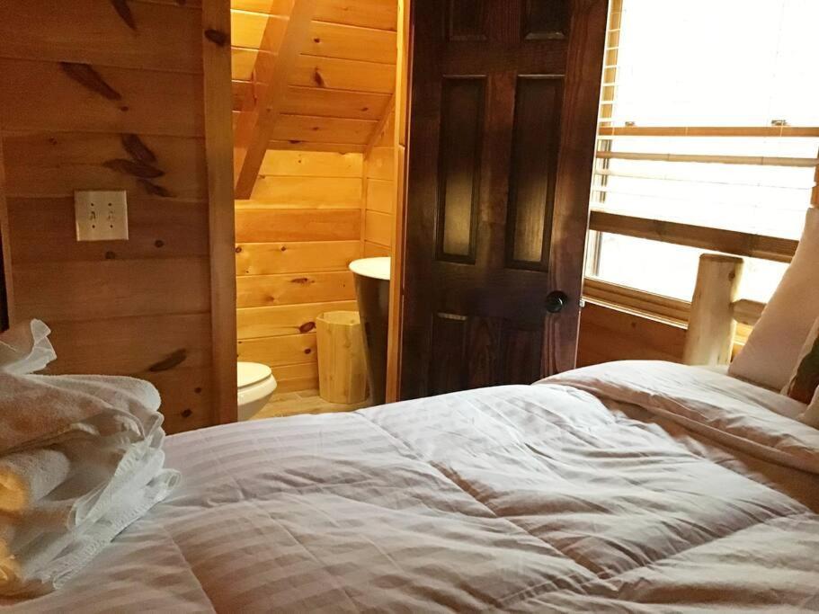 Dollywood! Brand New Dancing Bear 3-bear Tracks Holiday home Pigeon Forge