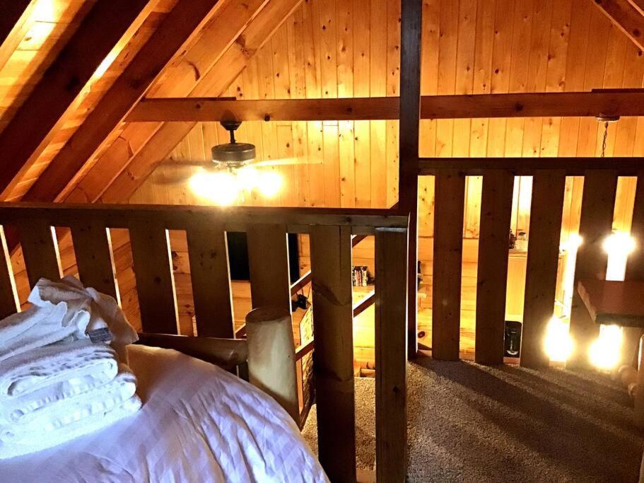 Dollywood! Brand New Dancing Bear 3-bear Tracks