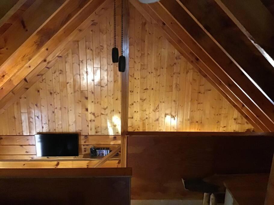 Holiday home Dollywood! Brand New Dancing Bear 3-bear Tracks *