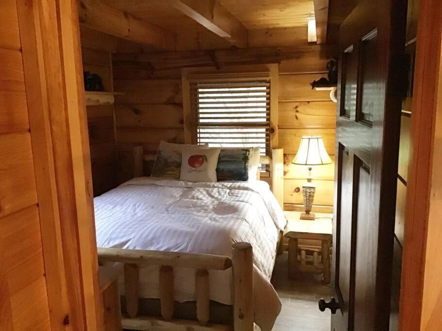 Dollywood! Brand New Dancing Bear 3-bear Tracks Holiday home