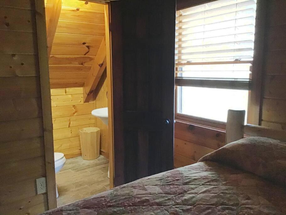 Dollywood-brand New Dancing Bear 4 Holiday home