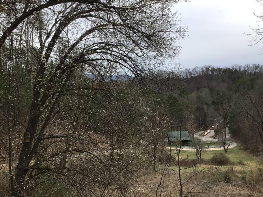 Dollywood-brand New Dancing Bear 4 Holiday home