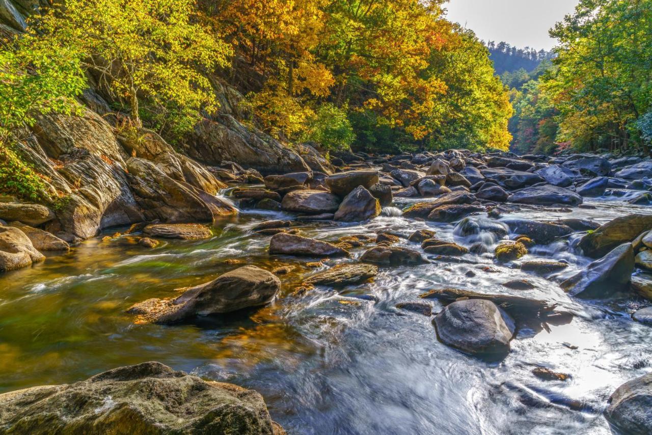 Ah-mazing! Whispering Pines 532 Apartment Pigeon Forge
