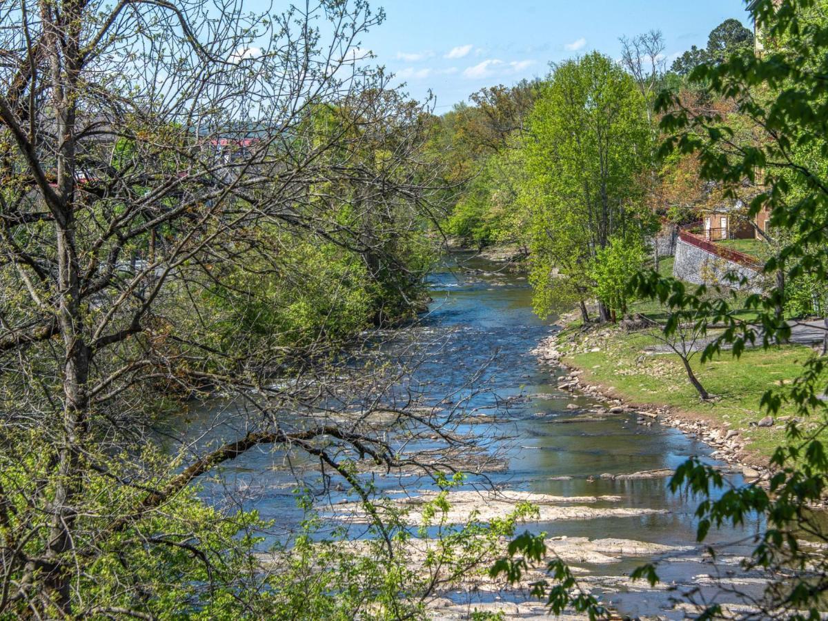 River Romp Cedar 505 * Pigeon Forge