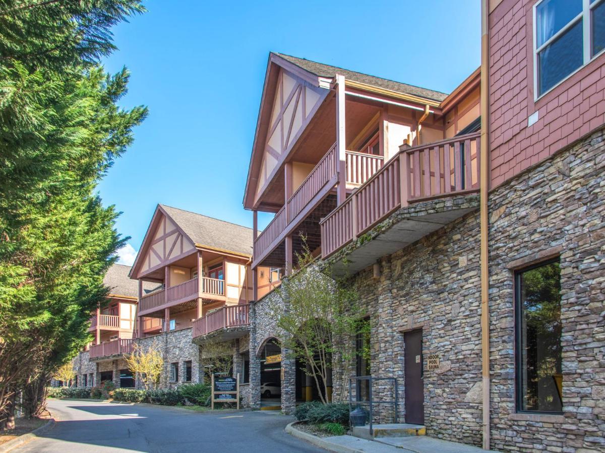 Lazy Bears Den 2103 Apartment