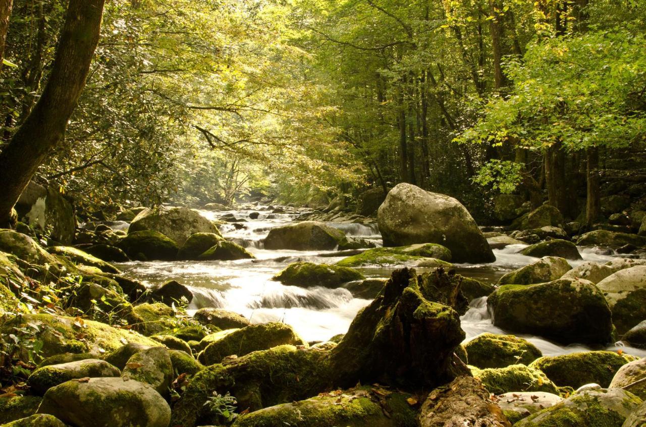 Holiday home Woodland Escape Pigeon Forge
