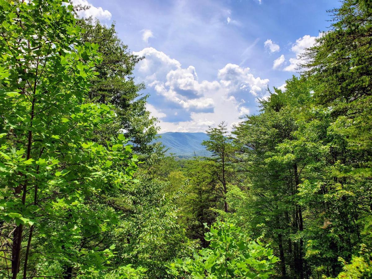 Chalet Hillbilly Hilton-pet Friendly-sleeps 4-free Tickets-mountain View *